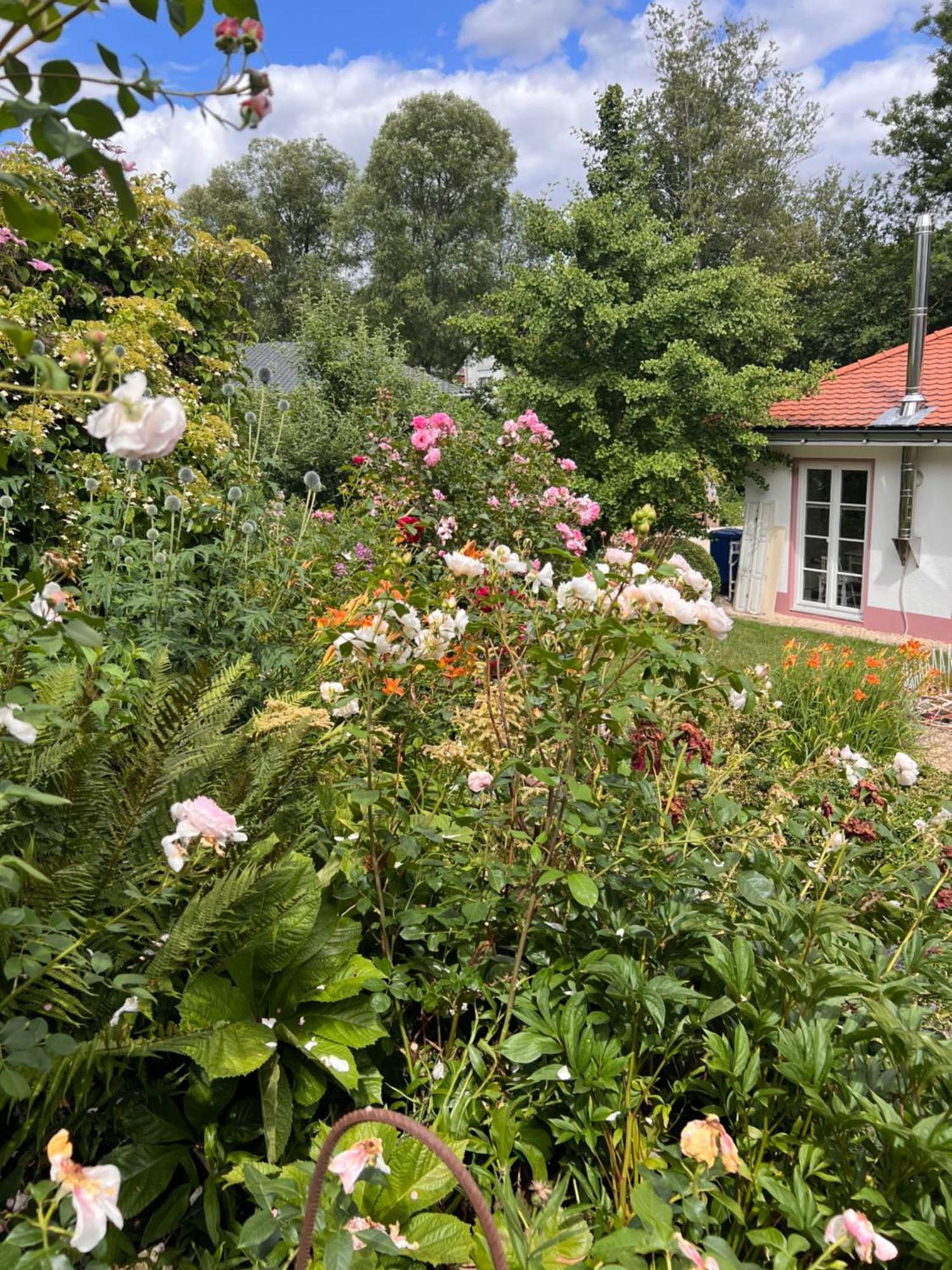 B&B Rosenliebe Niedereschach Екстериор снимка